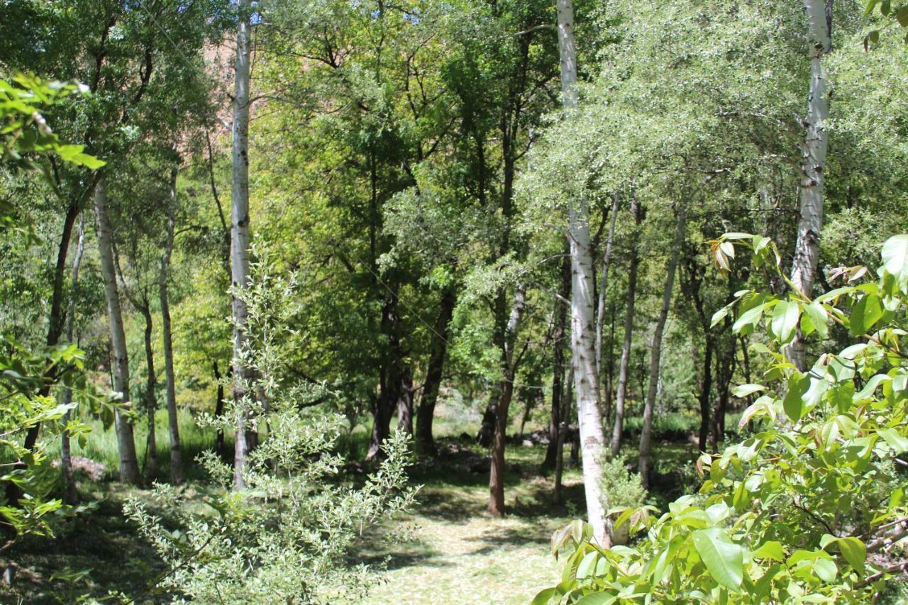 Auberge Toubkal Amsouzart Aitst Idar Tizgui エクステリア 写真